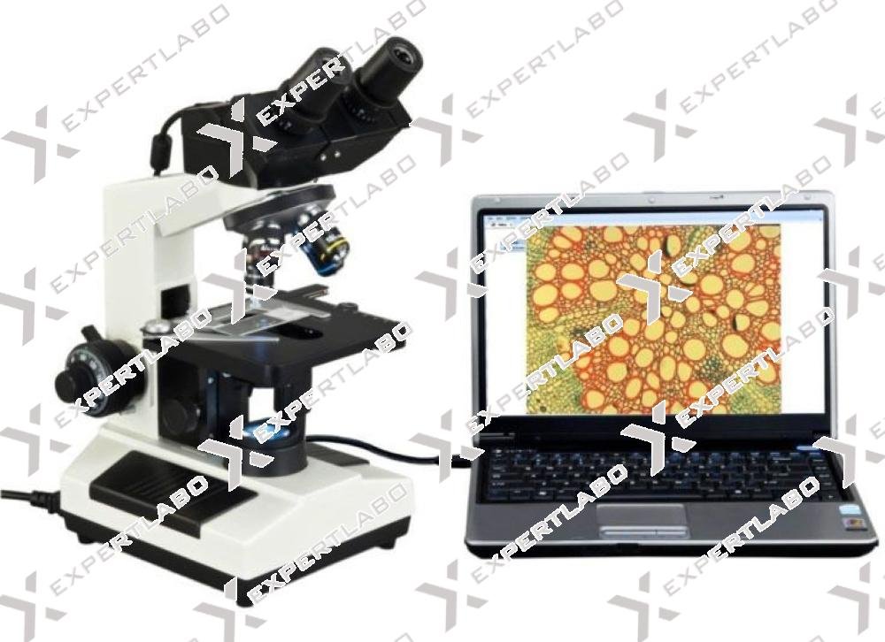 Microscope Equipments